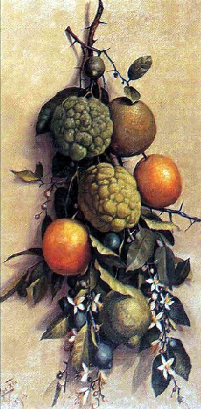 Fruits by Benedito Calixto